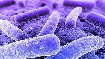 Các nhà khoa học tạo ra chất kháng sinh mới mạnh hơn 500 lần, tiêu diệt được 49 chủng siêu vi khuẩn kháng thuốc